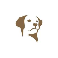 Cremazioni Animali H24