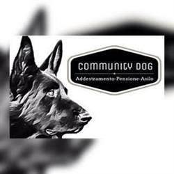 Community Dog