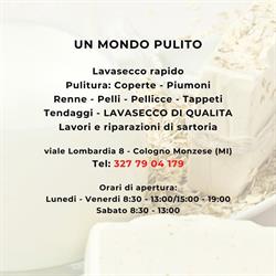 Un mondo pulito