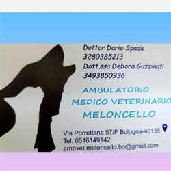 Ambulatorio Medico Veterinario Meloncello