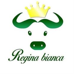 Regina bianca bufala di Battipaglia