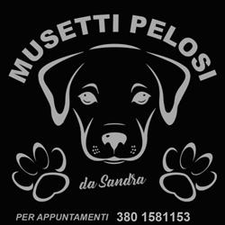 Toelettatura Musetti Pelosi