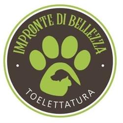 Impronte Di Bellezza di Brigida Moretti