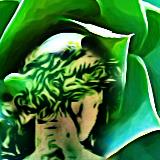 B&B - Green Garden