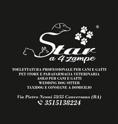 Star A 4 Zampe® Toelettatura - Pet Store - Asilo - Wedding Dog Sitter - Parafarmacia Veterinaria
