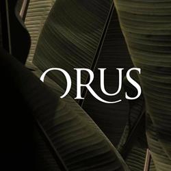 Orus group