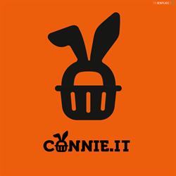 Connie.it