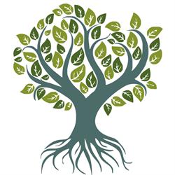 Albero Immobiliare