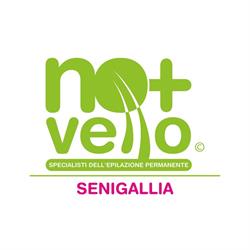 Nomasvello Senigallia