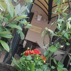 Bar Sante