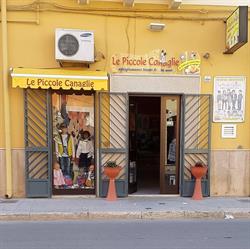 Le piccole canaglie di Concetta Todisco