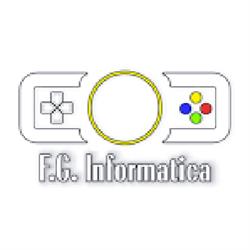 F.g. Informatica