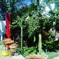 B&B La Casa della Tartaruga