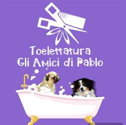 Toelettatura Gli Amici di Pablo