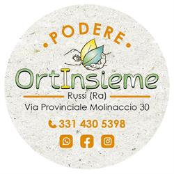 OrtInsieme