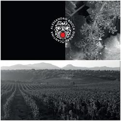 Cantina Alessandro Bocca