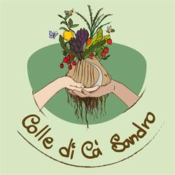 Colle Cà Sandro