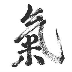 Ki Aikido Thiene - ACSD Washinkan