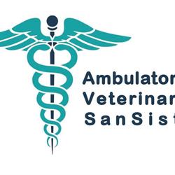 Ambulatorio Veterinario San Sisto