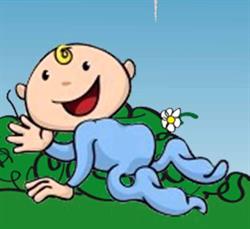 Il bosco incantato