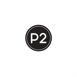 P2 Design Studio