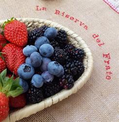 La Riserva del Frate