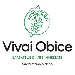 Vivai Obice - Barbatelle di vite innestate