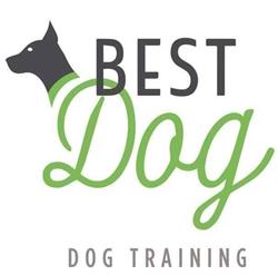 Best Dog Addestramento