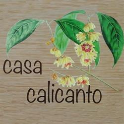 Casa Calicanto