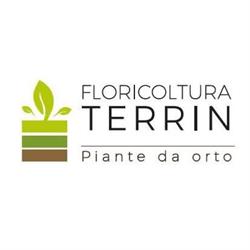 Floricoltura Terrin