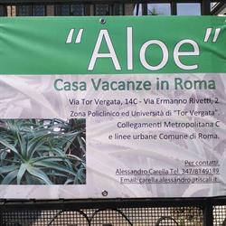 ALOE CASA Vacanze ROMA