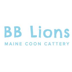 BB Lions - Maine Coon Cattery