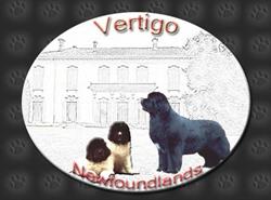 Vertigo Newfoundlands