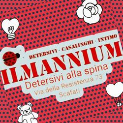 Ilmannium