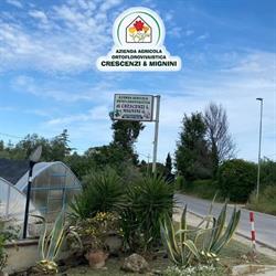 Crescenzi e Mignini - Azienda Agricola Ortoflorovivaistica