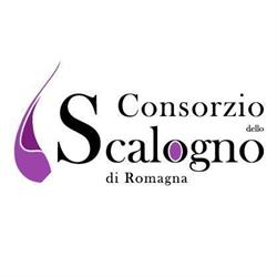 Consorzio Dello Scalogno Di Romagna