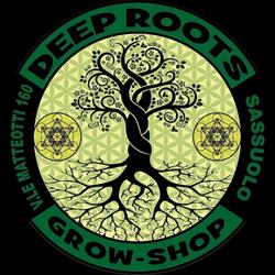 Canapaio Sassuolo - Deep Roots Grow Shop