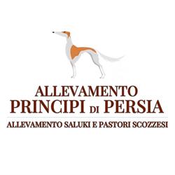 Allevamento e pensione Principi di Persia