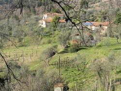 Agriturismo Foddi