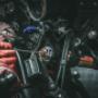 Gallery Professionale