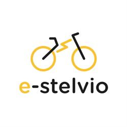E-stelvio Bike Rental