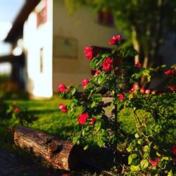 Villa Bagnole B&B and Holiday Apartments
