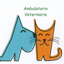 Ambulatorio veterinario Montalbano
