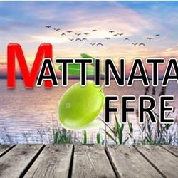 Mattinata OFFRE