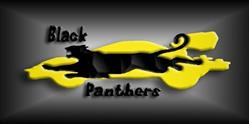 Black-Panthers mini 4WD
