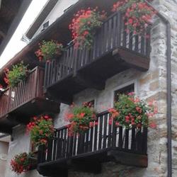 La Cà Rustica - Casa Vacanze Bognanco Fonti