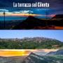 Gallery Professionale