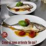 Gallery Professionale