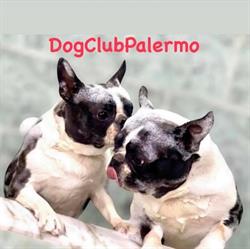 Dog Club Palermo