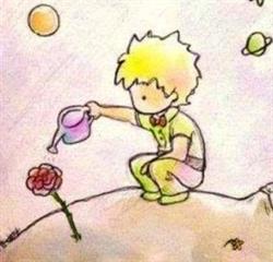 La Casa Vacanza Del Piccolo Principe
